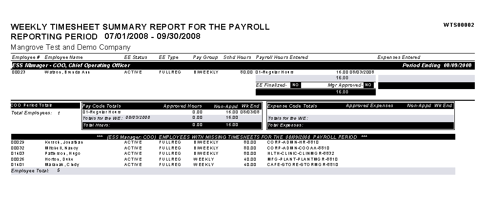 Weekly Timesheet Summary for the Reporting Period