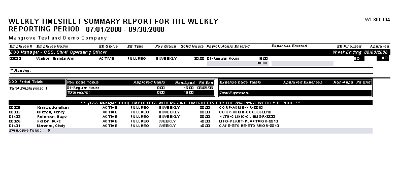 Weekly Timesheet Summary for the Weekly Reporting Period